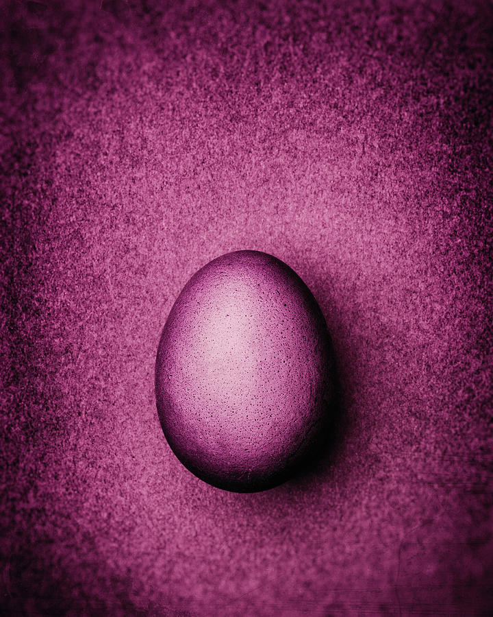 Dusty Pink Easter Egg On A Dusty Pink Background Photograph by Peter Rees