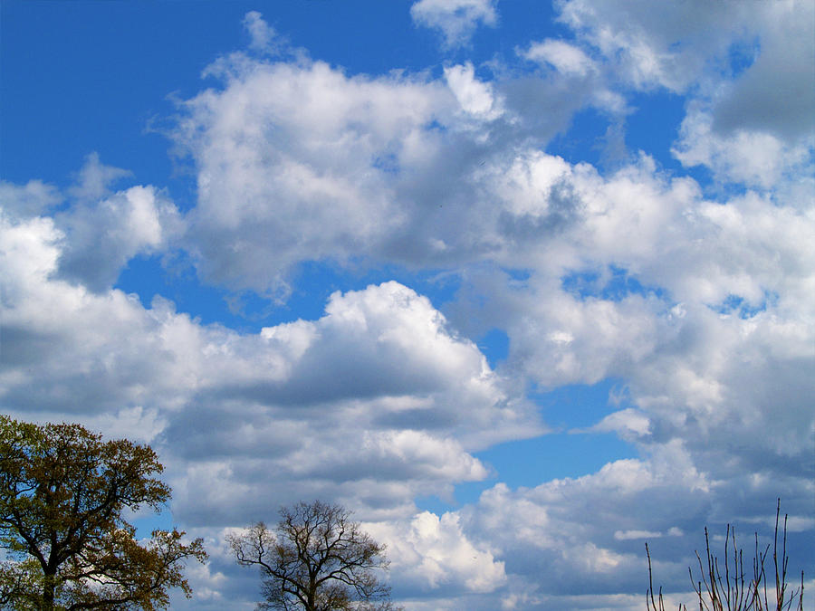 Dutch cloud view Photograph by Luc Van de Steeg