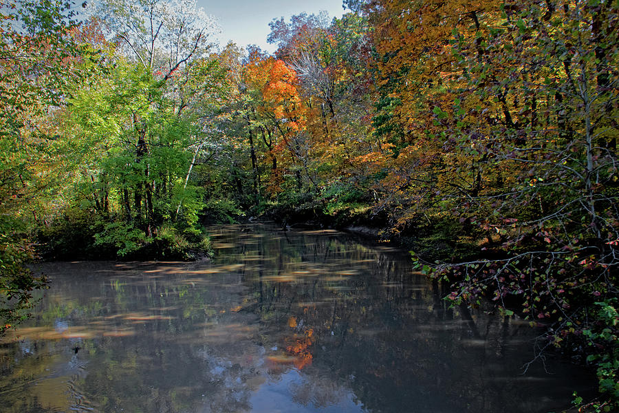 Dutch Creek And Cache River Confluence Photograph By Ira Marcus 