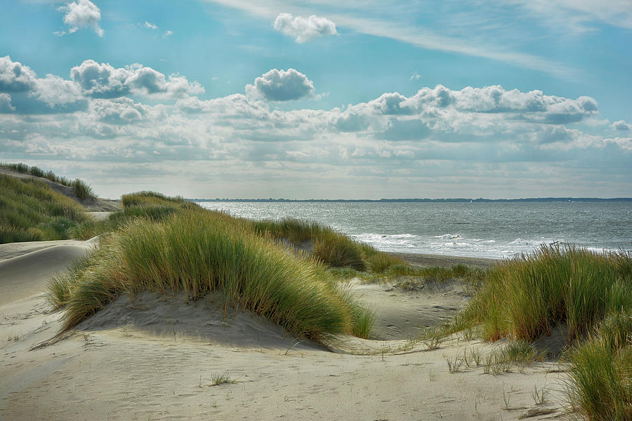 Dutch Dunes Photograph by Joachim G Pinkawa