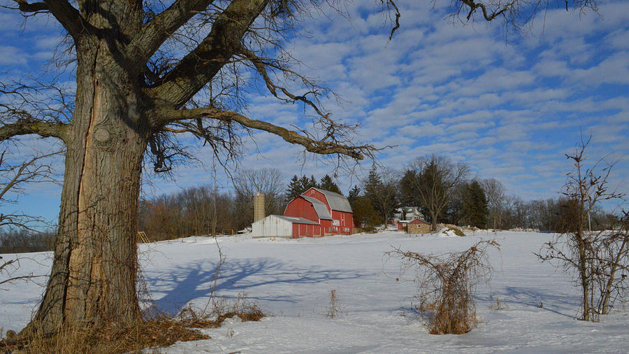 Dutch Gambrel Barn in Winter Photograph by Merridy Jeffery | Fine Art ...