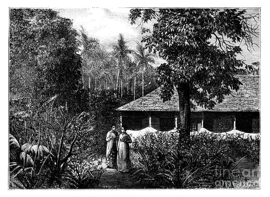 Dutch House In Ternate, Indonesia, 19th Drawing by Print Collector