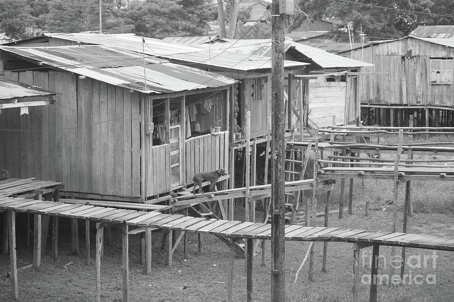 Dwellings Of Leticia Photograph