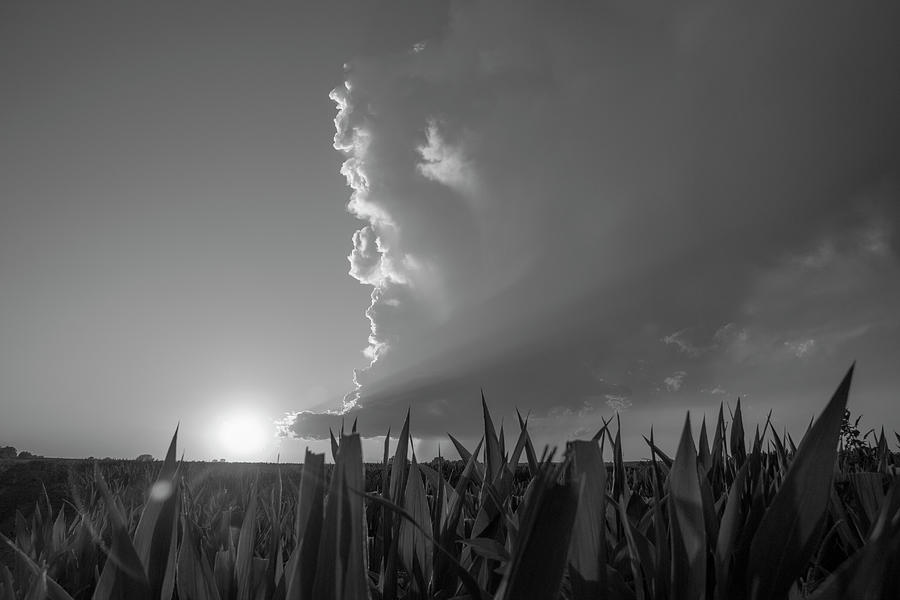 Dying Nebraska Thunderstorms at Sunset 062 Photograph by NebraskaSC