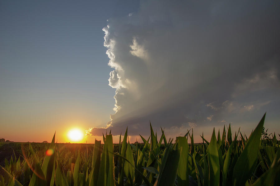 Dying Nebraska Thunderstorms at Sunset 063 Photograph by NebraskaSC