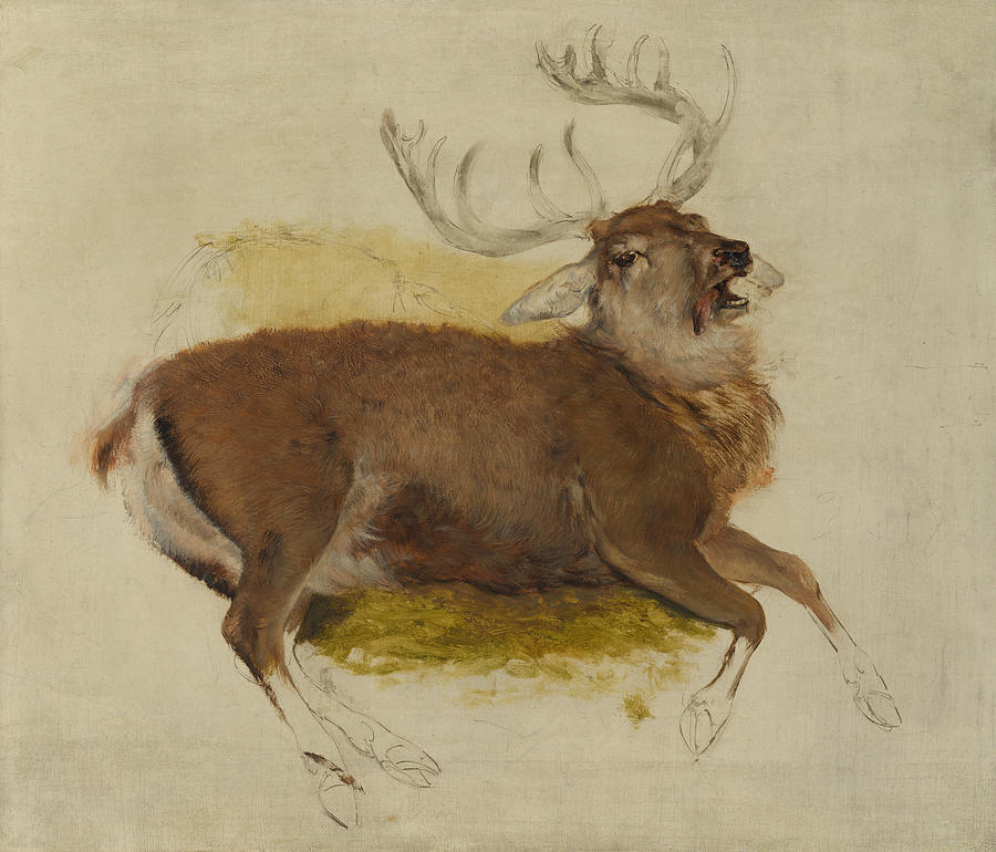 Dying Stag Painting by Edwin Landseer