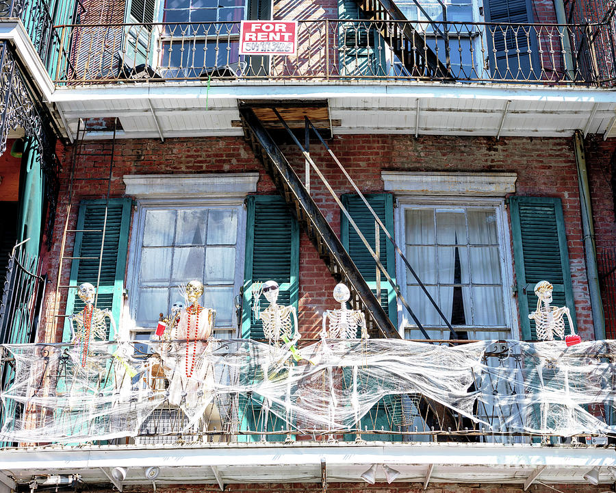 Dying to Rent in the French Quarter New Orleans by John Rizzuto Dying to Rent in the French Quarter New Orleans by John Rizzuto