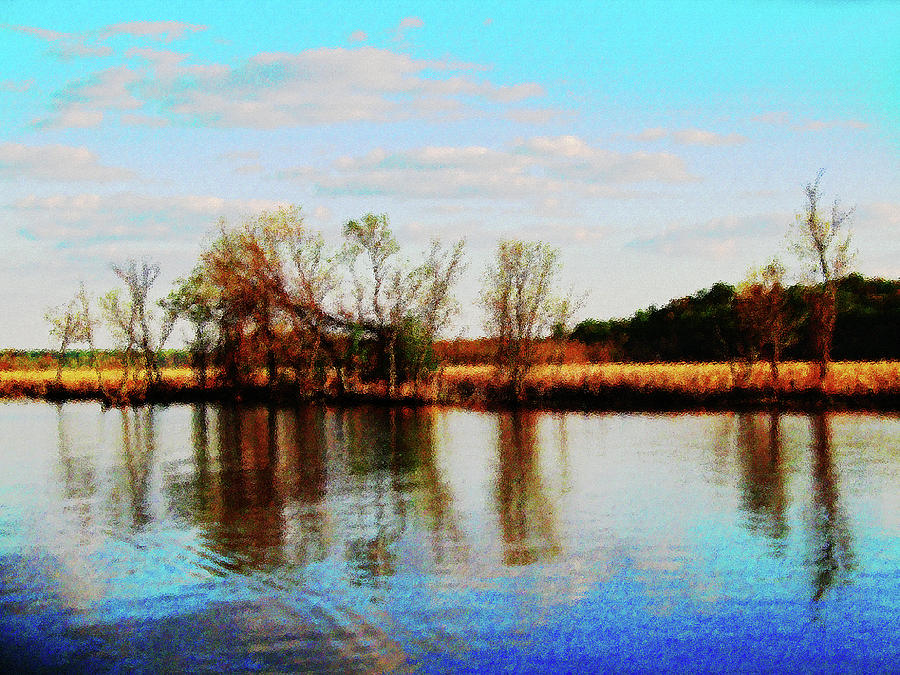 Dyke Marsh, Potomac River Photograph by Bill Jonscher