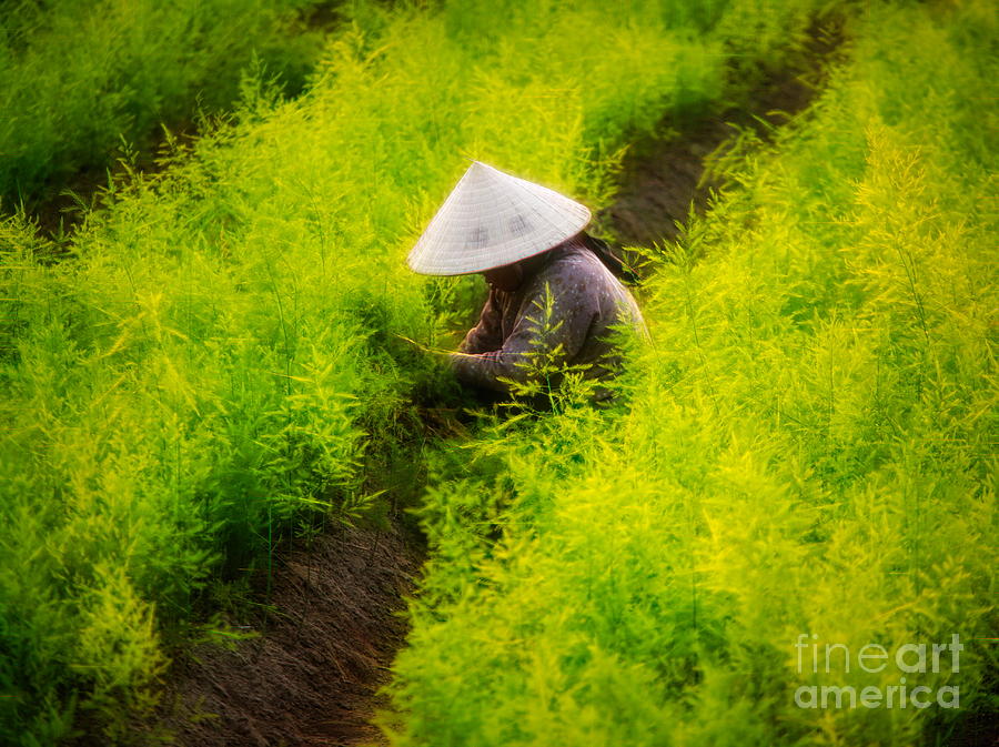 Dynamic Art Woman Vietnamese Garden  Photograph by Chuck Kuhn