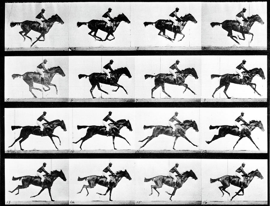 Eadweard Muybridge Photograph by LIFE Picture Collection