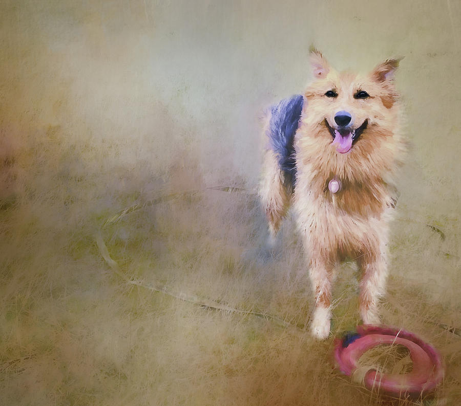 Eager Dog Edit Digital Art by Terry Davis