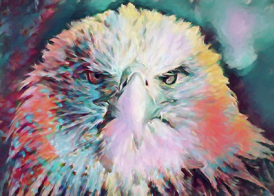 Eagle Abstract Digital Art