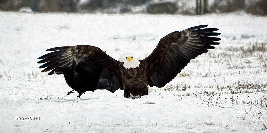 Eagle and Raven 2 by Gregory Steele