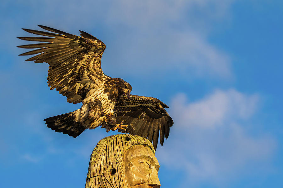 Eagle and Totem Pole Photograph by Michelle Pennell