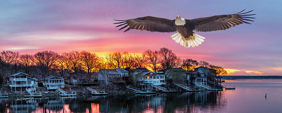 Eagle at Sunrise Photograph by David Wagenblatt