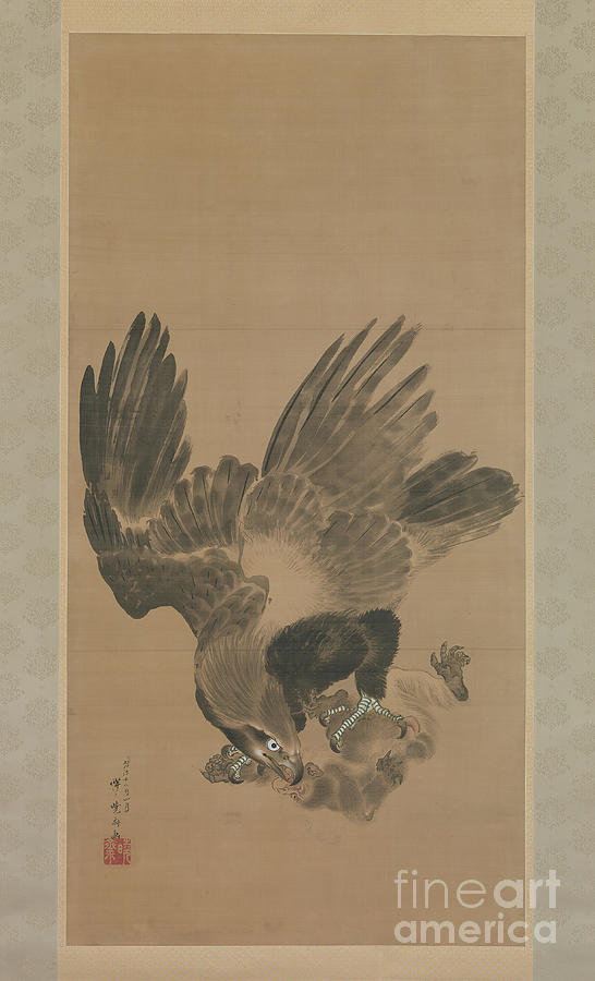 Eagle Attacking A Monkey Drawing by Heritage Images