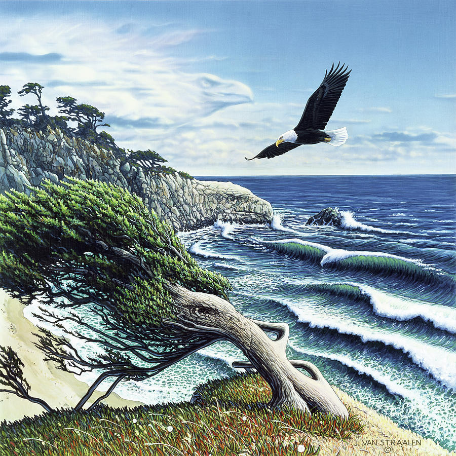 Eagle Cove Painting by John Van Straalen