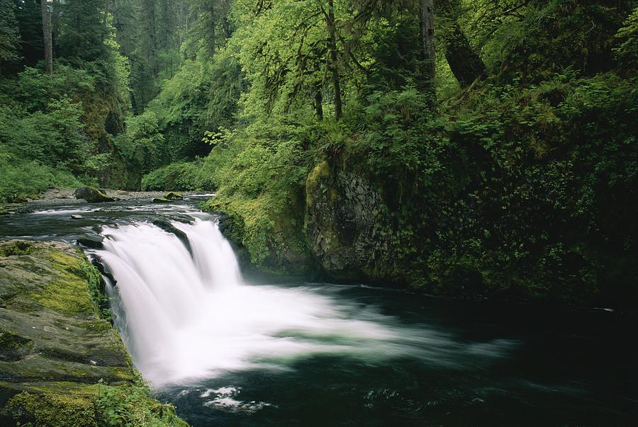 Eagle Creek, Oregon Photograph by Nhpa