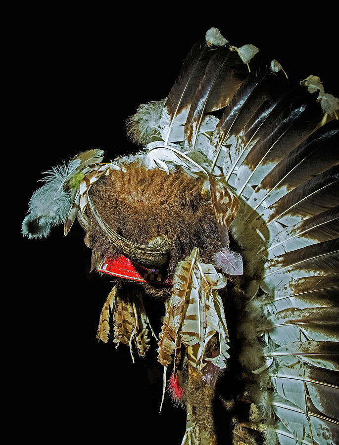 Eagle Feather Headdress, Lakota Tribe Photograph by Millard H. Sharp