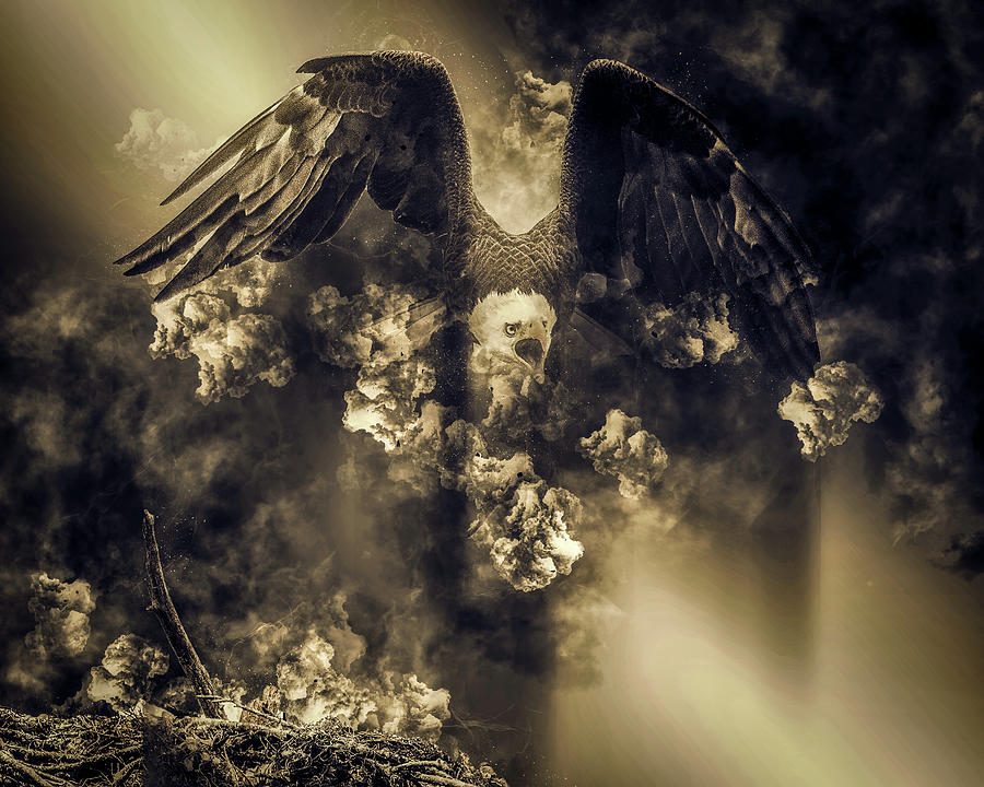 Eagle from Hell Photograph by Joe Myeress