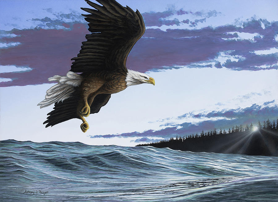 Eagle in Flight Painting by Anthony J Padgett