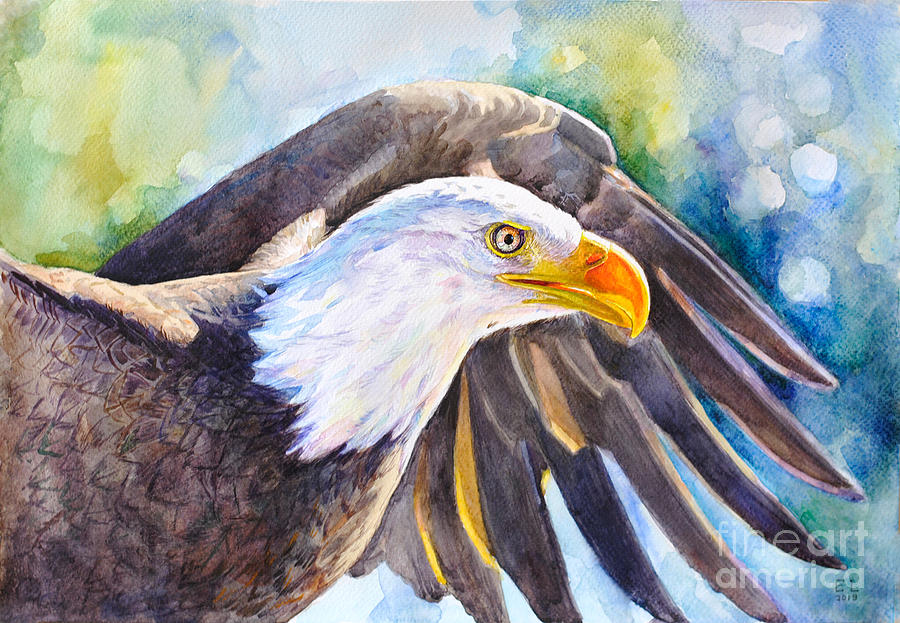 Eagle Watercolour Poster Bald Eagle Print Eagle Art Print Eagle Watercolour Art Print Room Wall Decor Pronto Shop Eagle Poster