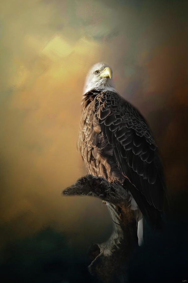 Eagle On The Levy Photograph by Jai Johnson
