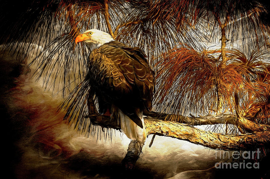 Eagle Painterly Photograph by Deborah Benoit
