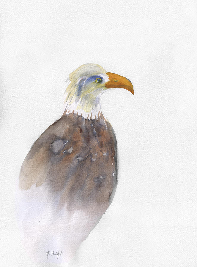Eagle Portrait Painting by Frank Bright