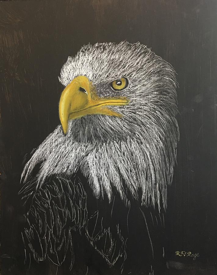 Eagle Pastel by Richard Le Page