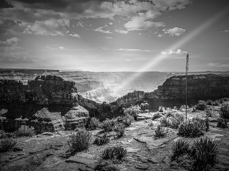 Eagle Rock, Grand Canyon in Black and White Digital Art by Pheasant Run Gallery