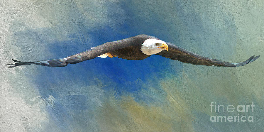 Eagle Soaring Mixed Media by Jim Hatch
