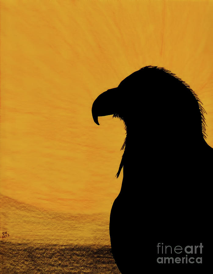 Eagle - Sunset Drawing by D Hackett