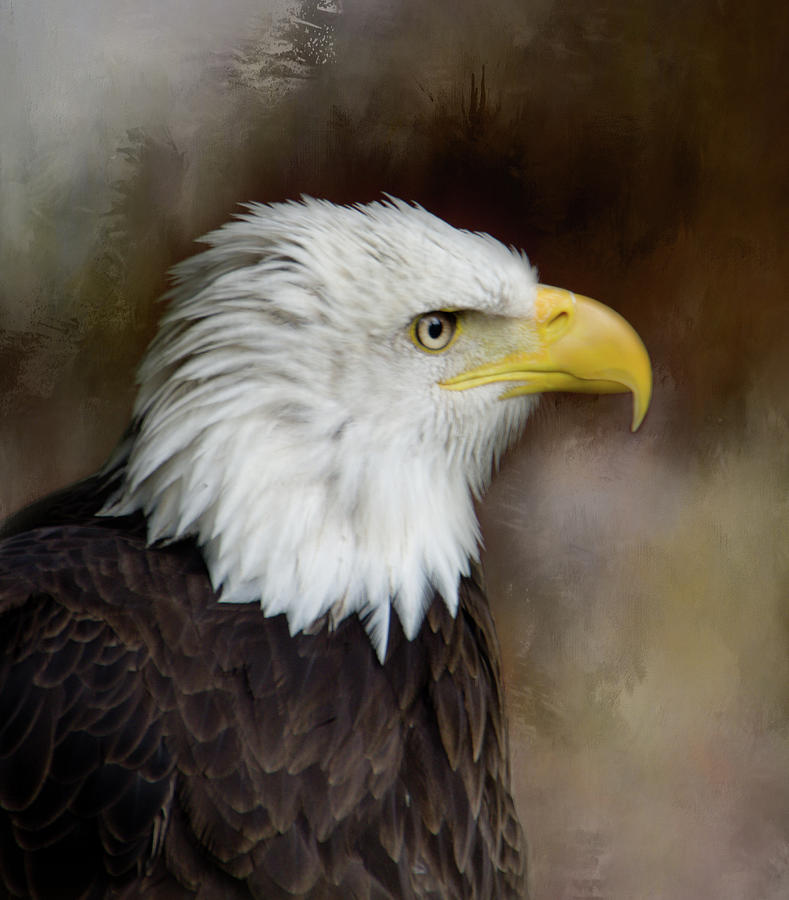 Eagle Eye Photograph by Marilyn Wilson