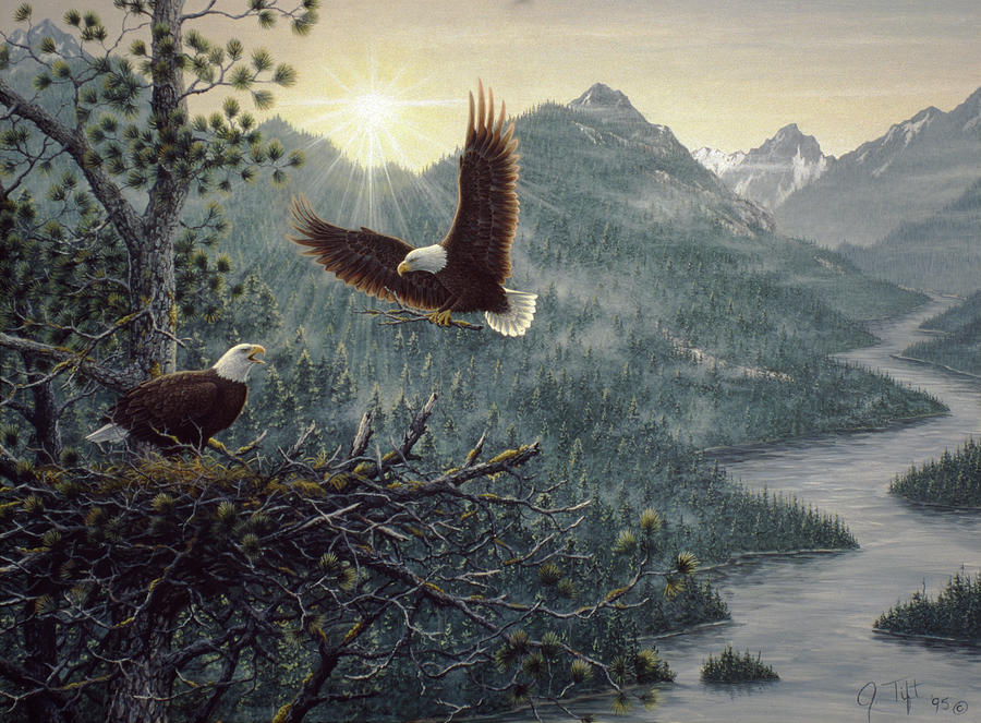 Mountain Painting - Eagles Nest by Jeff Tift
