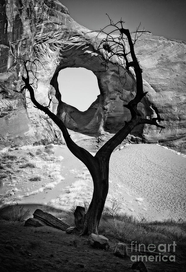 Ear of the Wind by Scott Kemper Ear of the Wind by Scott Kemper