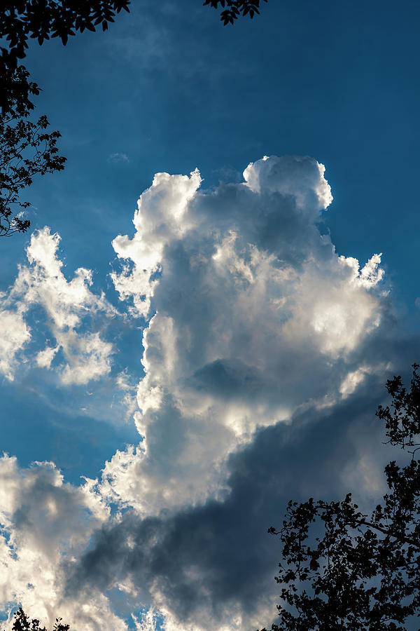 Early Evening Clouds and Sky Photograph by Robert Ullmann