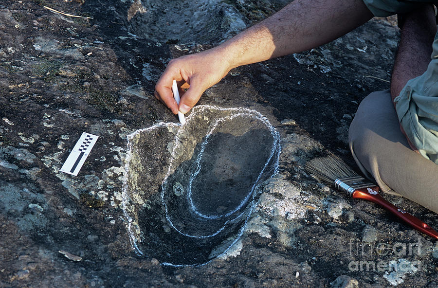 Early Human Footprint Photograph by Pasquale Sorrentino/science Photo Library