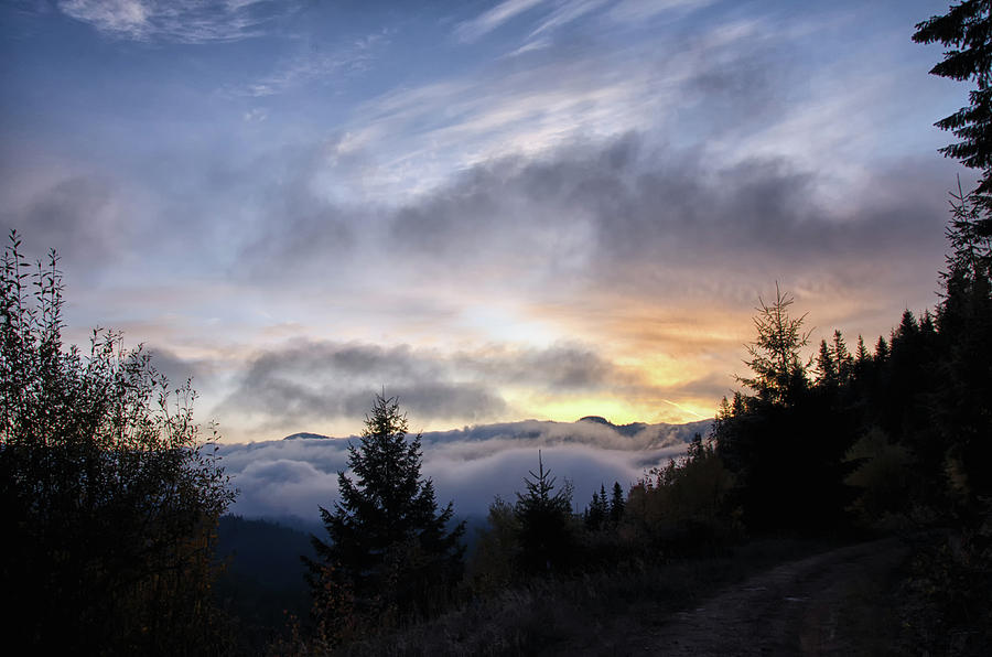 Early morning at Elk Ridge Photograph by Debra Baldwin