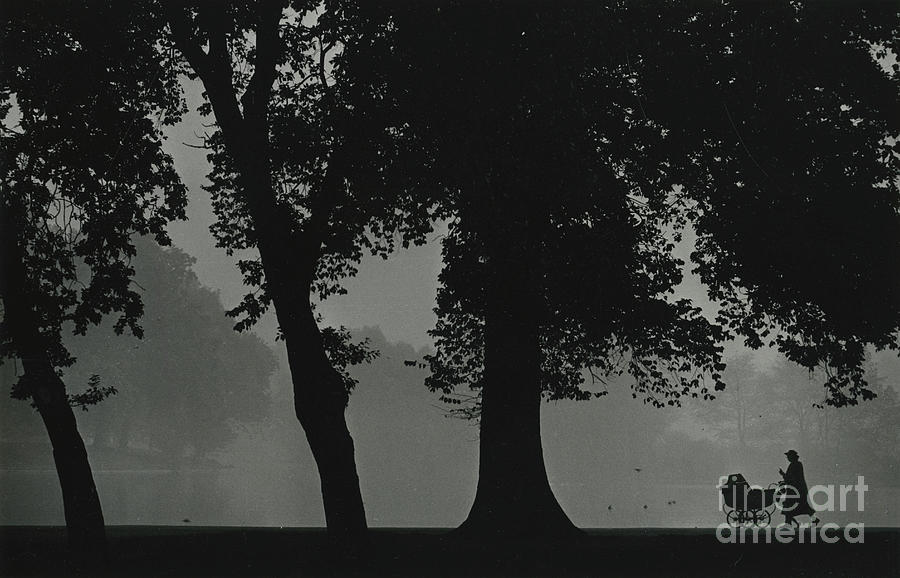 Black And White Photograph - Early Morning At Regents Park, London 1950s by English School