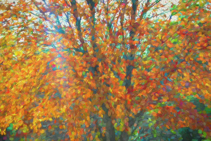 Early Morning Autumn Colors Mixed Media by Isabela and Skender Cocoli ...