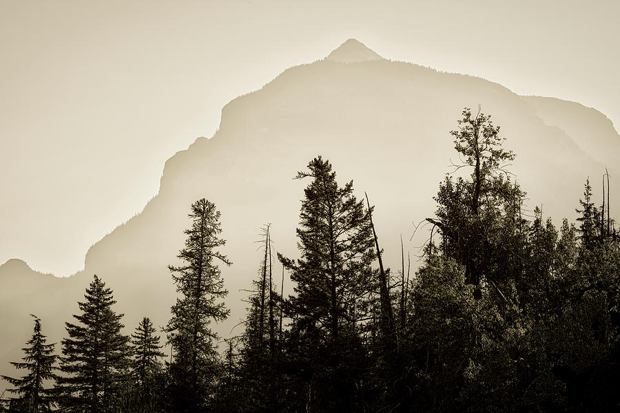 Early Morning Bristle Mountain Ridge by Roderick Bley Early Morning Bristle Mountain Ridge by Roderick Bley