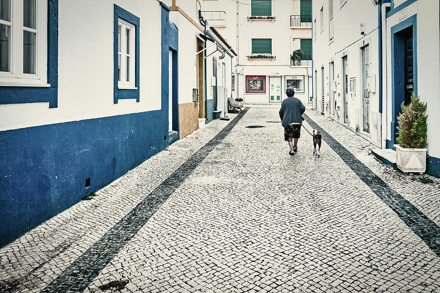Early Morning Dog Walk - Portugal Photograph by Stuart Litoff