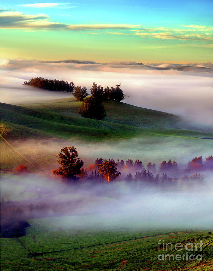 Early Morning Fog and the first light from Sunrise in Petaluma Photograph by Wernher Krutein