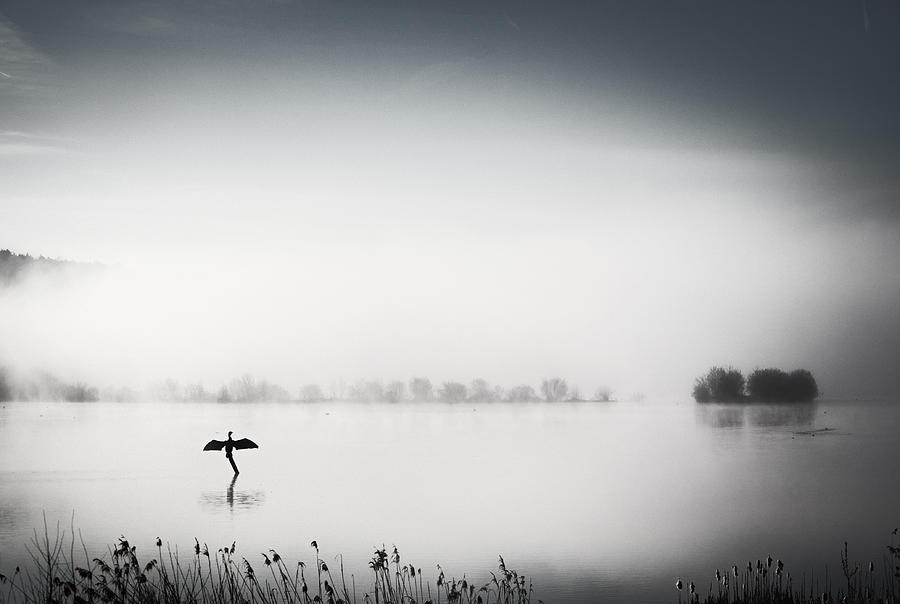 Black And White Photograph - Early Morning by Hilde Ghesquiere