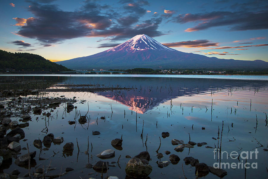 Early Morning In Mount Fuji Photograph by Xavierarnau