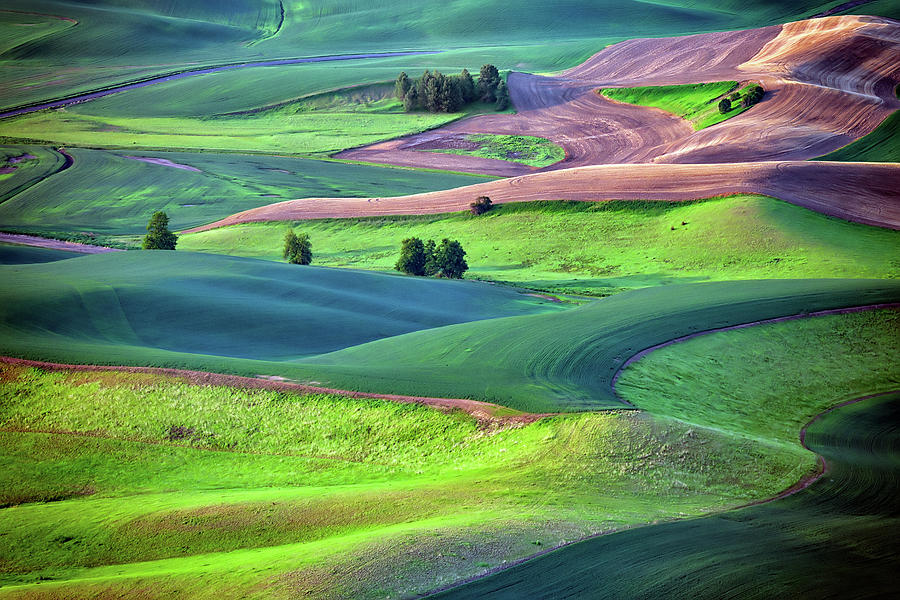 Winter Photograph - Early Morning in the Palouse by Rick Berk