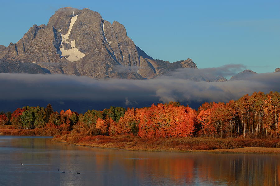 Early morning light at Mount Moran during autumn Photograph by Jetson Nguyen