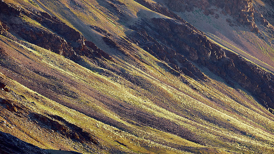Early Morning Light on the Hillside in Sarchu Photograph by Whitney Goodey Early Morning Light on the Hillside in Sarchu Photograph by Whitney Goodey