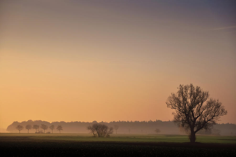 Early Morning Mist Photograph by Michael Kohaupt